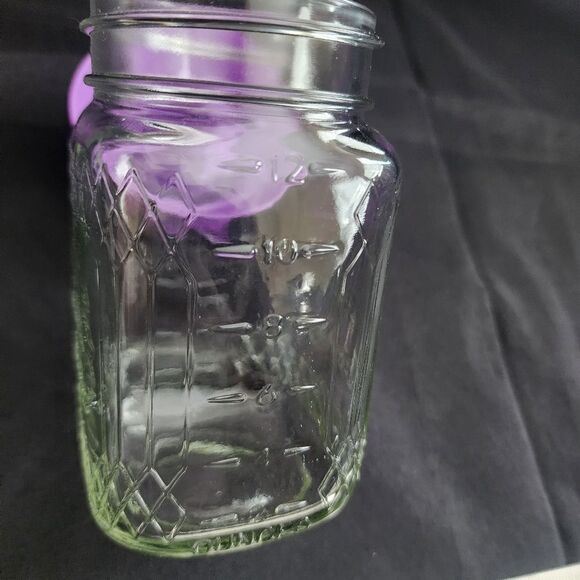 CROWN ROYAL 12 oz Mason Jar Juicer - Picture 7 of 9